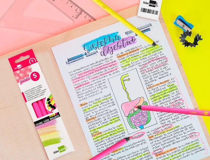 Liderpapel Lápices Fluorescente Jumbo Neón Rosa Forma Triangular Mina Extra Resistente