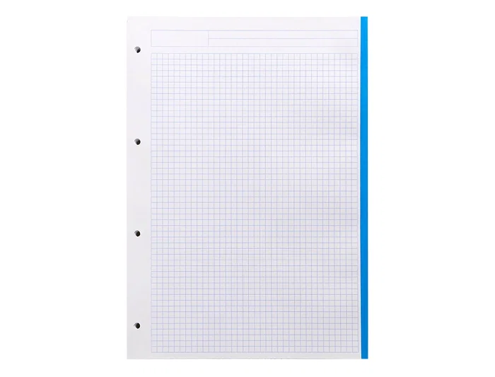 Liderpapel Recambio A4 120 Hojas 80gr Cuadro 5mm Sin Margen 4 Taladros Bandas de 5 Colores