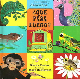 JUVENTUD ¿Qué pasa luego?