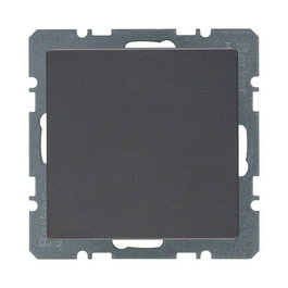 Berker 10096086 Tapa ciega con pieza central Q.1/Q.3 antracita