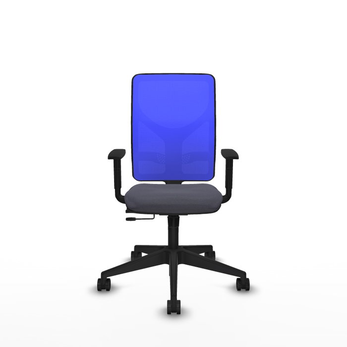 Silla de oficina Motilla con mecanismo Sincro/Traslack tapizada con Tela color Gris oscuro y malla color Azul. Equipada con lumbar 1D, Brazos 1D y Ruedas 65mm nailon