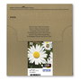 Epson Original C13T18064511 Pack Easy Mail Daisy 4 Colores Negro Cian Magenta Amarillo para Expression Home XP Serie 18ml Cartuchos Multipack