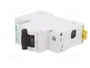 SCHNEIDER ELECTRIC Interruptor magnetotérmico ACTI9 MCB C120N 125A 1 Polo