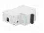 SCHNEIDER ELECTRIC Interruptor magnetotérmico ACTI9 MCB C120N 125A 1 Polo