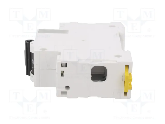 SCHNEIDER ELECTRIC Interruptor magnetotérmico ACTI9 MCB C120N 125A 1 Polo
