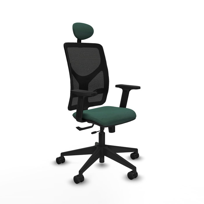 PIQUERAS Y CRESPO Silla de oficina Motilla con mecanismo Sincro/Traslack, Verde botella y Negro PIQUERAS Y CRESPO Silla de oficina Motilla con mecanismo Sincro/Traslack, Verde botella y Negro
