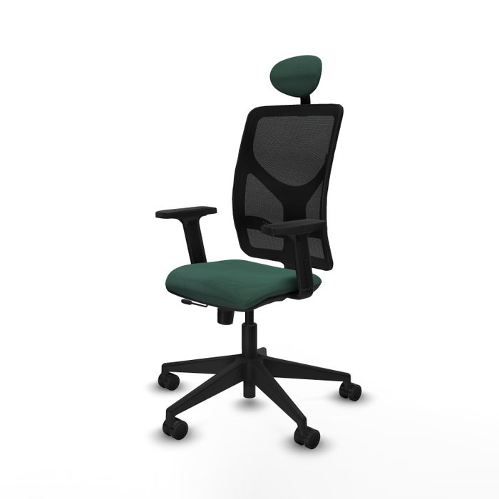PIQUERAS Y CRESPO Silla de oficina Motilla con mecanismo Sincro/Traslack, Verde botella y Negro PIQUERAS Y CRESPO Silla de oficina Motilla con mecanismo Sincro/Traslack, Verde botella y Negro