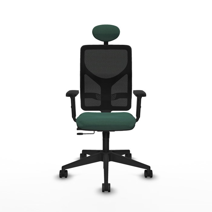 PIQUERAS Y CRESPO Silla de oficina Motilla con mecanismo Sincro/Traslack, Verde botella y Negro PIQUERAS Y CRESPO Silla de oficina Motilla con mecanismo Sincro/Traslack, Verde botella y Negro