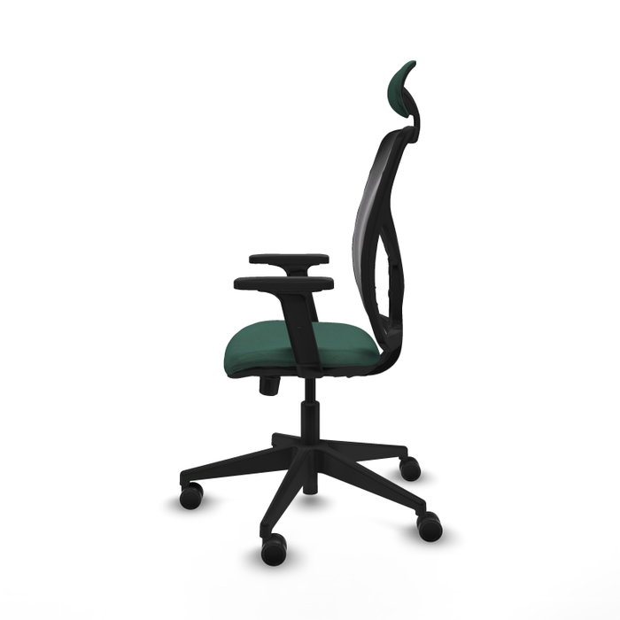 PIQUERAS Y CRESPO Silla de oficina Motilla con mecanismo Sincro/Traslack, Verde botella y Negro PIQUERAS Y CRESPO Silla de oficina Motilla con mecanismo Sincro/Traslack, Verde botella y Negro