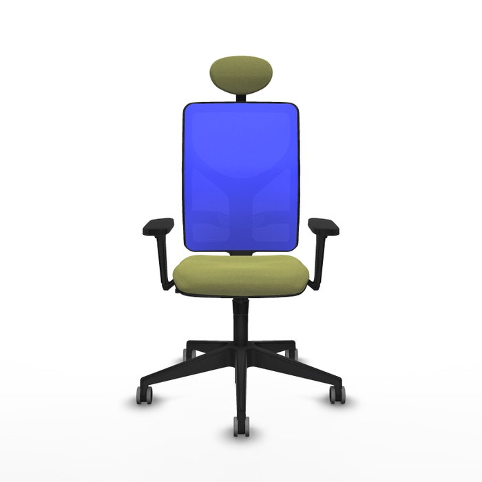 PIQUERAS Y CRESPO Silla de oficina Motilla con mecanismo Sincro, Verde oliva y Azul PIQUERAS Y CRESPO Silla de oficina Motilla con mecanismo Sincro, Verde oliva y Azul