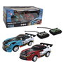 Tachan Coches R/C Rally Storm Twin Doble Frecuencia 1:26 T01019