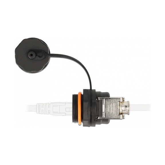 DeLOCK Conector de cable RJ45 hembra a Cat.6A LSA con tapa protectora IP68