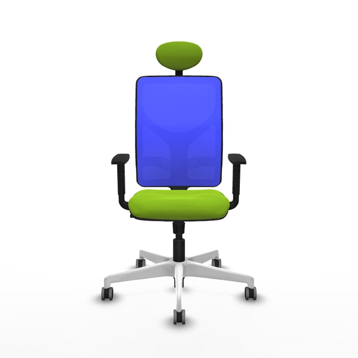 PIQUERAS Y CRESPO Silla de oficina Motilla con mecanismo Sincro, Pistacho y Azul PIQUERAS Y CRESPO Silla de oficina Motilla con mecanismo Sincro, Pistacho y Azul