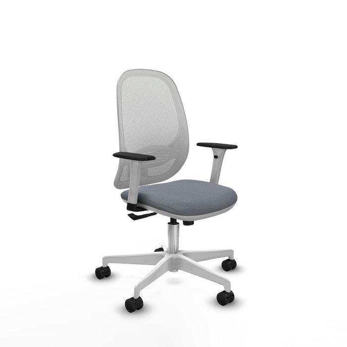 PIQUERAS Y CRESPO Silla de oficina Cilanco con mecanismo Sincro, Gris y Blanco PIQUERAS Y CRESPO Silla de oficina Cilanco con mecanismo Sincro, Gris y Blanco