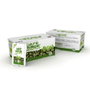 NOEFAR Café Verde Tisana Bio con 20 bolsitas