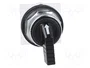 SCHNEIDER ELECTRIC Interruptor Rotativo 30mm Negro 2 Posiciones Estables