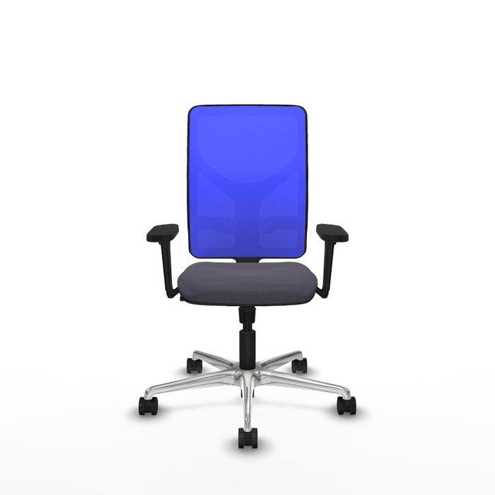 PIQUERAS Y CRESPO Silla de oficina Motilla con Mecanismo Sincro, Gris oscuro y Azul