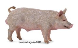 COLLECTA Cerdo Macho