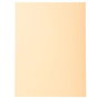 Exacompta Subcarpeta Forever 250 Crema DIN A4