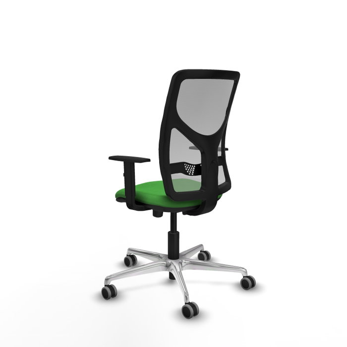 PIQUERAS Y CRESPO Silla de oficina Motilla con mecanismo Sincro/Traslack, Verde y Gris PIQUERAS Y CRESPO Silla de oficina Motilla con mecanismo Sincro/Traslack, Verde y Gris