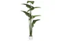 DKD Home Decor Planta Verde 100 x 195 x 100 cm (2 Unidades)