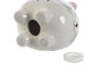 DKD Home Decor Hucha de Dolomite Diseño Gato Surtido de 2 Unidades