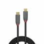Lindy Cable USB 3.2 Gen 2 (3.1 Gen 2) USB C a USB C de 2 m, Negro