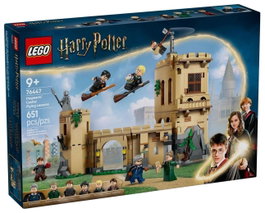 LEGO Harry Potter - Schloss Hogwarts: Flugstunden