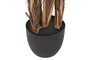 DKD Home Decor Planta PP PE Verde y Marrón