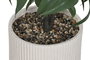 DKD Home Decor Planta de PE y Resina Verde 50x50x102 cm