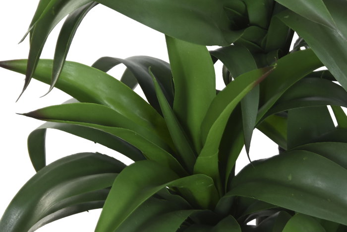 DKD Home Decor Planta de PE y Resina Verde 50x50x102 cm