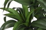 DKD Home Decor Planta de PE y Resina Verde 50x50x102 cm