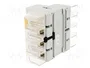 SPAMEL RSI-3160-W03 Interruptor de aislamiento de 3 polos, 160A, 400VAC