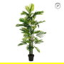 Planta Areca Palmera Verde 170 cm