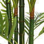 Planta Areca Palmera Verde 170 cm