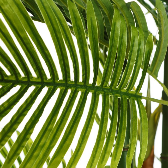 Planta Areca Palmera Verde 170 cm