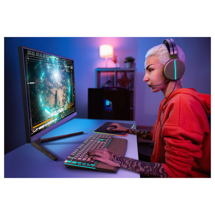 Philips Monitor Gaming 27M2N5500 27 pulgadas Quad HD IPS 1ms 170Hz HDMI DP Negro