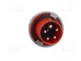 PAWBOL Enchufe Macho 63A 5 Pines IEC 60309