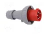 PAWBOL Enchufe Macho 63A 5 Pines IEC 60309