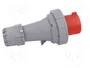 PAWBOL Enchufe Macho 63A 5 Pines IEC 60309