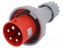 PAWBOL Enchufe Macho 63A 5 Pines IEC 60309