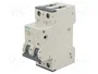 SIEMENS 5SY4206-7 Interruptor magnetotérmico 6A 2 polos 10kA