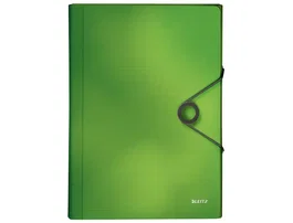 Leitz Solid Clasificadora Fuelle DIN A4 Verde con 6 Compartimentos