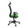PIQUERAS Y CRESPO Silla de oficina Zulema con mecanismo Sincro/Traslack, Verde y Negro