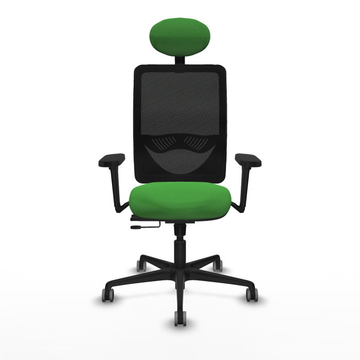 PIQUERAS Y CRESPO Silla de oficina Zulema con mecanismo Sincro/Traslack, Verde y Negro PIQUERAS Y CRESPO Silla de oficina Zulema con mecanismo Sincro/Traslack, Verde y Negro