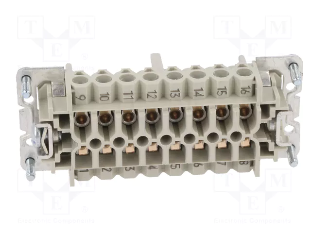 WIELAND Conector HDC Hembra Tamaño 16 para Panel WIELAND Conector HDC Hembra Tamaño 16 para Panel