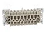 WIELAND Conector HDC Hembra Tamaño 16 para Panel