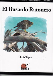 TUNDRA, EL BUSARDO RATONERO