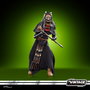 Hasbro Figura Tusken Warrior El Libro de Boba Fett Star Wars 9,5cm