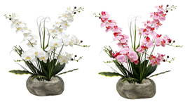 DKD Home Decor Planta de Orquídea en Cerámica y PE, Set de 2 unidades